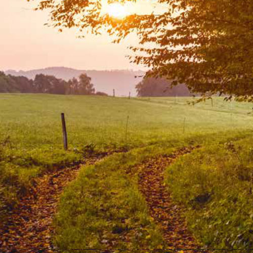 Naturpark mit Weitblick