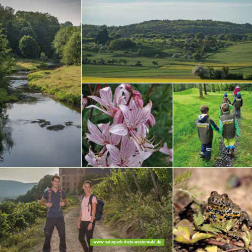 Naturpark Rhein-Westerwald: Modellregion für nachhaltige Entwicklung