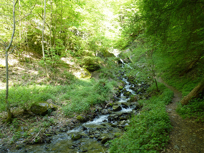 fuerstenweg