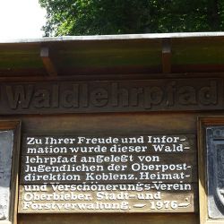 _0000_DSC01087