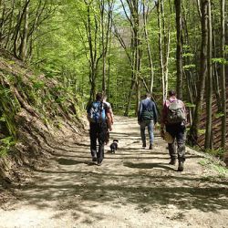 2-familie-wandert