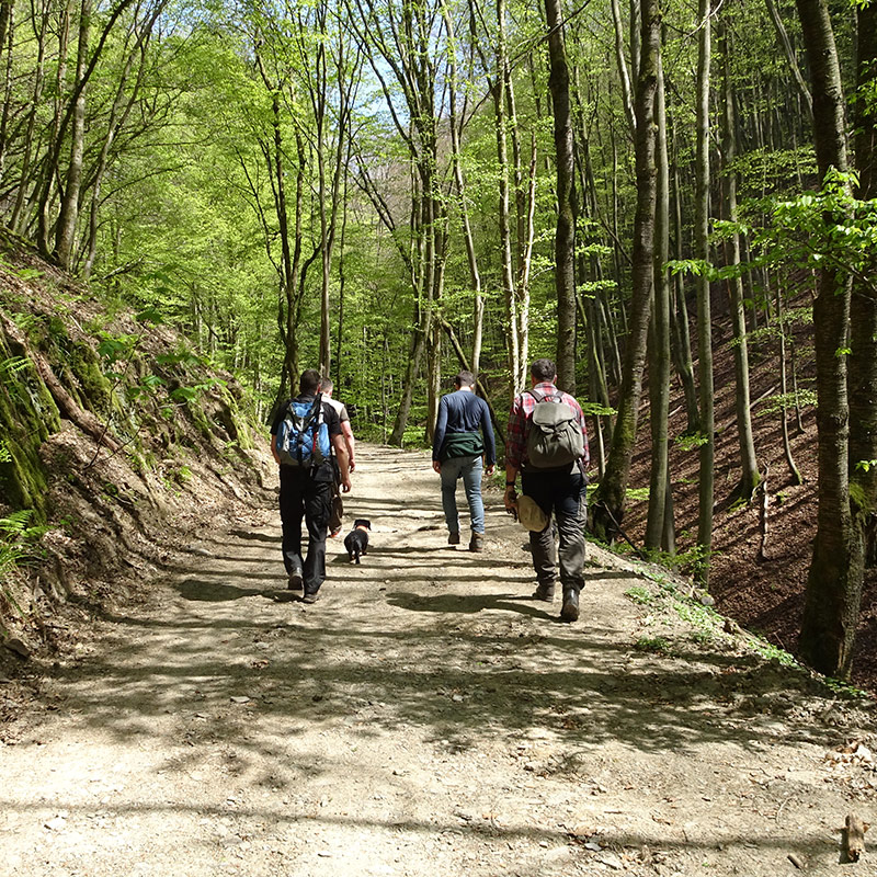 Naturpark erleben