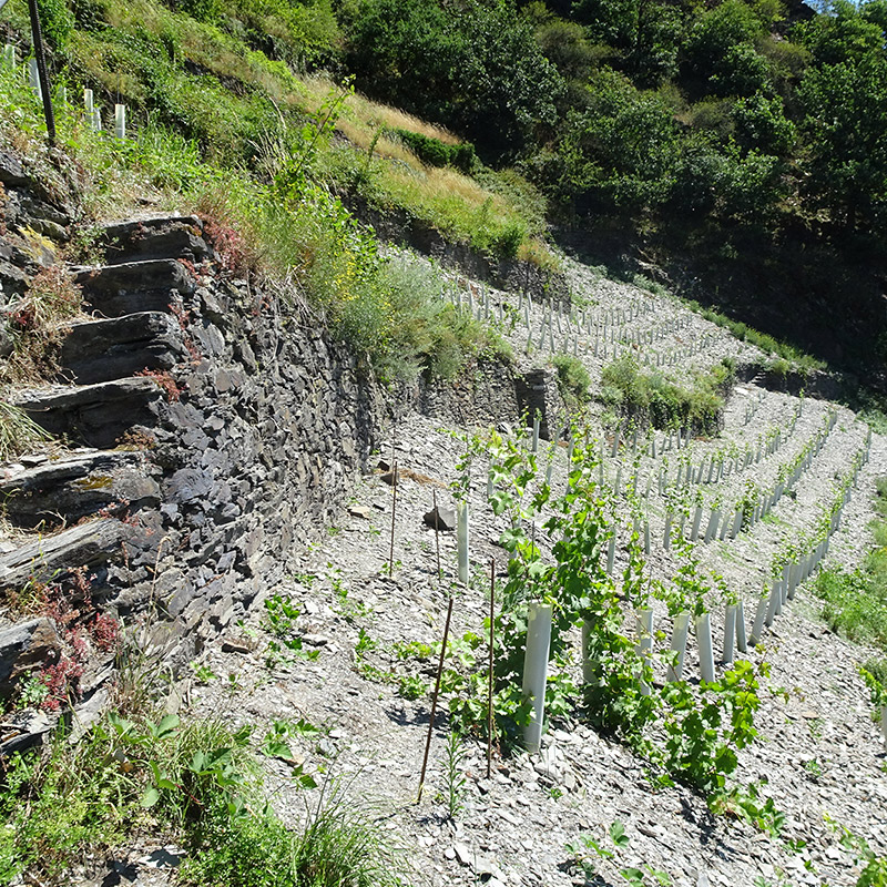 Naturpark verstehen