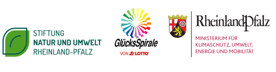 logos stiftung